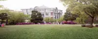 你的潛意識會指引你的人生，而你稱其為命運。
除非你能將潛意識轉化為意識，
否則你的命運就是潛意識的外在表現。
————榮格配圖