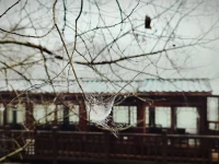 生活不是你活過的樣子，而是你記住的樣子。

——《人生海海》配圖