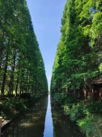人們通過拖延來安慰自己，讓自己相信他們的能力要大于其表現，他們甚至還維護著這樣一種信念，即：他們的潛在能力是出色的、不可限量的。他們只是通過拖延的方式逃避自己能力有限的現實。配圖