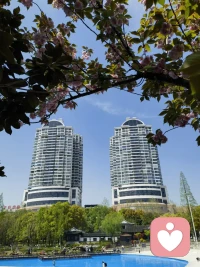 在世界的喧囂中，保持內心的寧靜。不論前方遭遇怎樣的挑戰，堅定地追求自己的夢想，創造屬于你自己的輝煌。每一步，每一次努力，都是邁向輝煌的契機。配圖