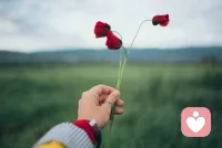 不要被他人評價所困擾，堅(jiān)信自己的能力和價值。用自信的筆書寫人生篇章，創(chuàng)造屬于你的壯麗畫卷。別讓別人的意見左右你的選擇，相信內(nèi)心的聲音，勇敢地追求自己的夢想。配圖