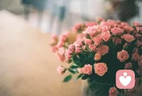 十月的初章，寫滿了詩行，有節日的喜慶，也有滿懷的期望。愿祖國繁榮昌盛，山河無恙；愿你我平安喜樂，如愿以償。配圖