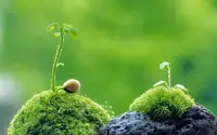 有人问：“你总是在学习，通过学习，最终得到了什么？”答：“什么都没有得到。”再问：“那您还学习做什么呢？”再答：“不过我可以告诉你，我失去了什么。我失去了愤怒、纠结、狭隘、挑剔、指责、悲观和沮丧，失去了肤浅，短视，失去了一切无知、干扰和障碍。”学习的真谛不是为了加法，而是减法。提升的目的，不是为了得到，而是放下！
