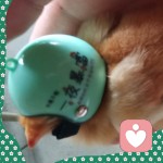 听风讲你^_^的头像