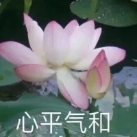 每个人都有自己独特的故事和感受，而作为一名倾听师，我的使命就是提供一个安全、无偏见的空间，让每个人都能自由地表达！


我坚信，倾听是一种力量，它能够帮助我们更好地理解自己和他人。作为一名倾听师，我将以真诚、尊重和理解的态度，为每一位来访者提供高质量的倾听服务。我相信，在倾听的过程中，我们不仅能够找到解决问题的方法， 还能够收获内心的平静与成长！
倾听即疗愈！配图