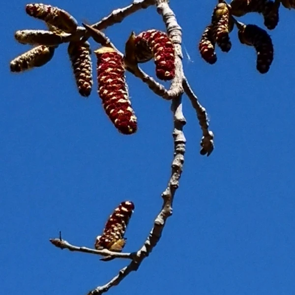 悦心心理情感咨询