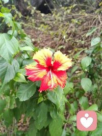 情緒和認(rèn)知是有關(guān)系的配圖