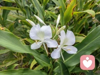 阿德勒说：决定我们自身的不是过去的经历，而是我们自己赋予经历的意义配图