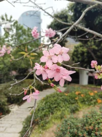 一個(gè)常常看到別人缺點(diǎn)的人 
其實(shí)是因?yàn)橛X(jué)得自己不夠好配圖