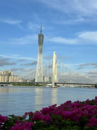 焦虑的本质是对未来不确定性的恐惧与担忧。它源自大脑的预警系统，本是为了应对潜在威胁。适度焦虑能激发准备与应对，但过度则影响生活质量。心理学认为，焦虑常与完美主义、控制欲及负面思维模式相关。管理焦虑，关键在于接纳不确定性，练习正念，调整不切实际的期望，并发展有效应对策略。记住，你无法控制所有事，但能控制如何回应。平静面对，勇敢前行。配图