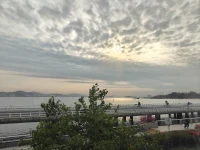 关于孩子的教育， 值得我们深思的是，孩子性格自洽，能够真切地感受到开心快乐，这无疑是教育的一大成功。
 
性格自洽意味着孩子能够接受自己的优点和不足，与自身和谐共处，不会陷入过度的自我怀疑和焦虑之中。当他们内心感到愉悦和满足时，会以更积极、乐观的心态去面对生活中的种种挑战和机遇。
 
在孩子的成长过程中，我们不应过分强调成绩、成就等外在的标准，而应更注重培养他们的情感调节能力、人际关系处理能力以及自我认知能力，让他们拥有健康的心理状态，去享受人生的每一个阶段。配图