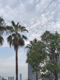 一個人在被認可和贊美時容易膨脹驕傲，可能有以下幾個原因：
 
1.?自我認知不清晰：對自身的能力和價值缺乏準確、客觀的評估，容易在受到外界肯定時過度高估自己。
2.?缺乏內在的自信：平時可能內心深處缺乏真正的自信，一旦得到認可和贊美，就試圖通過過度的反應來彌補這種自信的缺失。
3.?心理防御機制：將外界的贊美作為一種過度的補償，以掩蓋內心深處的不安或焦慮。
4.?社會比較心理：在與他人的比較中，一旦獲得優勢和贊揚，容易產生優越感并膨脹。
5.?不成熟的心態：心理成熟度較低，不懂得如何正確對待成功和贊譽，不能以平和的心態看待。
6.?成長環境影響：成長過程中可能較少受到適度的批評和挫折，導致面對表揚時難以保持冷靜和謙遜。配圖