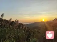 有些媽媽在孩子幼年時期會有意地培養孩子的堅強與獨立，像孩子不慎摔倒后，既不將其扶起也不安慰。不可否認，這樣的養育方式存在著利與弊兩面。可能會導致孩子出現以下幾種心理：

一、堅強獨立
孩子可能會在一定程度上變得更加堅強和獨立。他們會更早地學會自己面對困難和挫折，在遇到問題時不輕易依賴他人，而是嘗試自己尋找解決辦法。

二、缺乏安全感
孩子可能會覺得媽媽不夠關心自己，從而產生不安全感。他們可能會懷疑自己是否值得被愛，在情感上可能會比較封閉，不太容易與他人建立親密關系。

三、自我價值感低
孩子在摔倒等需要安慰的時候沒有得到回應，可能會認為自己不重要，自我價值感降低。他們可能會對自己的能力產生懷疑，覺得自己不夠好，不值得被關注和愛護。

四、冷漠
孩子可能會模仿媽媽的行為，在他人遇到困難時也表現得比較冷漠。他們可能不太懂得如何去關心和安慰別人，因為自己沒有在成長過程中得到足夠的情感回應。#親子關系#配圖