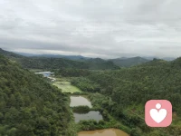 當我們感到焦慮時，我們的修煉就是要聆聽心中的思想，感覺那份焦慮，然后任由它去。當我們感到疲憊或者昏沉時，我們的修煉就是去感受身上那段昏沉的滋味，然后隨它去。當我們發現自己正在抗拒當下這一刻時，我們的修煉就是去體嘗那股抗拒感的質地，然后隨它去。配圖