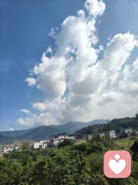 當命運的車輪悄然轉動，生命常常會陷入困厄的泥沼，面臨艱難的抉擇與蛻變。破繭成蝶，無疑是一場刻骨銘心的苦旅。在幽閉的繭中，生命需承受無盡的黑暗與擠壓，每一寸掙扎都伴隨著疼痛，仿佛全身的力量都在這狹小空間內被揉碎、重塑。然而，恰是這般痛苦的磨礪，賦予了生命破繭而出的偉力，讓它能夠掙脫束縛，去迎接那全新的世界。于這艱難歷程里，它不僅錘煉出堅韌不拔的力量，更在痛苦的縫隙中，悄然生長出絢麗奪目的翅膀。那翅膀，是它熬過苦難的勛章，承載著夢想與希望，使其得以在廣闊天地間自由翱翔，舞出生命的華彩篇章，令世間萬物皆為之動容。配圖