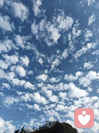 不內(nèi)耗的本質(zhì)是真實(shí)且如實(shí)的面對(duì)自己，當(dāng)能夠坦誠接納自己的一切，包括優(yōu)點(diǎn)與不足，不逃避真實(shí)的想法和感受，就不會(huì)陷入自我糾結(jié)、自我拉扯的內(nèi)耗狀態(tài)啦，而是可以更平和、堅(jiān)定地前行。配圖