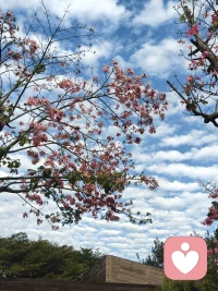 在心理学中，直面痛苦是指个体有意识地、不回避地去面对自己内心的痛苦情绪和经历。
 
当人们遭遇如失去亲人、失恋、失业等创伤事件后，会产生痛苦情绪。直面痛苦就是承认这些情绪的存在，而不是用忙碌、药物、酒精等方式来逃避。比如一个人在经历重要考试失利后，允许自己感受悲伤、沮丧，而不是假装不在意。
 
这种面对有助于人们更好地理解痛苦产生的根源，像在经历一段痛苦的人际关系后，仔细思考自己在其中的感受和角色，进而找到从痛苦中恢复的方法，最终实现心理的成长和疗愈。配图