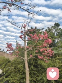 在一個(gè)家庭之中，媽媽就如同孩子專屬的“能量充電樁”，以源源不斷的耐心、溫柔與理解，為孩子驅(qū)散陰霾、注入活力。每當(dāng)孩子電量告急、滿心疲憊，一頭扎進(jìn)媽媽的懷抱“充充電”，內(nèi)心重拾能量，便能重歸安寧，情緒穩(wěn)穩(wěn)當(dāng)當(dāng)。
 
爸爸則化身孩子堅(jiān)實(shí)的后盾，沉穩(wěn)的城府之下毫無傲慢之氣，只默默蘊(yùn)含著無盡擔(dān)當(dāng)。不管孩子遭遇何種難題、陷入多深困境，爸爸堅(jiān)實(shí)的脊梁永遠(yuǎn)挺立在前，無聲訴說著“別慌，有我呢”。有這樣的父母相伴左右，孩子便能毫無顧慮地活在當(dāng)下，被安全感穩(wěn)穩(wěn)托舉著，勇敢奔赴成長(zhǎng)之路。配圖