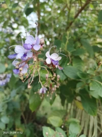 生命如同一条奔涌不息的河流，裹挟着或灿烂或黯淡的际遇向我们奔来。那些不期而遇的成功与喜悦，突如其来的挫折与磨难，皆是命运馈赠的独特礼物。当春风拂面，我们坦然拥抱温暖与芬芳；当暴雨倾盆，我们亦能以坚实的脊梁撑起一方晴空。接受生命给予的一切，正是源于对自我的深刻认知与对生命的无限敬畏。这份接纳，是灵魂深处生长出的自信，让我们在人生的旷野中，无畏风雨、不惧未知，坚定地向着心之所向，踏出铿锵有力的步伐。配图