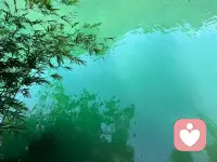 一個人的內心有多恐懼，表現在外的行為就會有多頑固。就像面對風浪的船，越是害怕被打翻，越會緊緊錨定在原地，哪怕潮水早已改變方向。那些不肯松口的“我沒錯”，可能是怕承認脆弱就會被否定；那些拒絕嘗試的“我不行”，或許是怕邁出一步就會摔得粉碎。頑固從來不是堅強的鎧甲，而是恐懼織就的牢籠，把真實的渴望和可能，都困在了“不敢”里。配圖