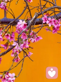 当一个家庭中孩子出现情绪问题时，孩子所呈现出的问题，本质上是整个家庭的问题，也折射出父母关系的状态。这个时候，真正需要成长和反思的是父母，而不是把所有问题都一味地聚焦在孩子身上。配图