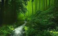 作为社区工作者很多时候最难的是帮助自己的家人，有很多双重关系，也有多重关系。
当身边的亲人陷入困境时，最好的办法就是转介，让更好的咨询师，更多的咨询师去引导与帮助提升是最有效的解决方案。配图