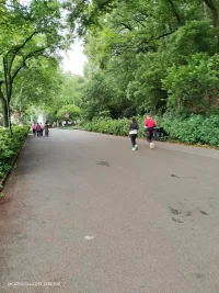 每個人的路都是自己走出來的，不是別人幫出來的。“幫”出來的路不叫路叫扶貧。
?如果還是老觀念，要犧牲別人成全他人的舉動是不明智的，別人累，自己更累。
盡管生活很苦，但還是會有光照進(jìn)來。

?配圖