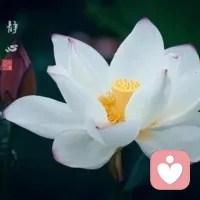 用選擇和努力去驚艷時光，不要用抱怨和等待去荒廢時光。配圖
