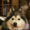 一二