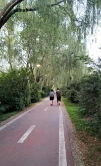 感悟生活真諦，每天清晨醒來，又是一天都是新生。感概一切，健康地活著，世界上誰都不重要、只有自己最幸福的事重要。看見一草一木、一花一鳥，皆是美好，不要辜負了這美好的時光。醒來的過了一天，就要珍惜認真的過，不要盲目羨慕他人的幸福，也許那并不適合自己。人生于世，不要去攀比，過好自己的日子，享受自己的生活才是王道，寬容對待別人，就是肚量；謙卑面向自己，就是份量；合起來，就是一個人的質量。格局越大，越懂得寬容；情商越高，越懂得低頭。愿我們都能成為一個具有大格局的高情商之人。配圖