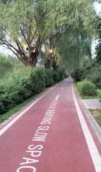 感悟生活真諦，每天清晨醒來，又是一天都是新生。感概一切，健康地活著，世界上誰都不重要、只有自己最幸福的事重要。看見一草一木、一花一鳥，皆是美好，不要辜負了這美好的時光。醒來的過了一天，就要珍惜認真的過，不要盲目羨慕他人的幸福，也許那并不適合自己。人生于世，不要去攀比，過好自己的日子，享受自己的生活才是王道，寬容對待別人，就是肚量；謙卑面向自己，就是份量；合起來，就是一個人的質量。格局越大，越懂得寬容；情商越高，越懂得低頭。愿我們都能成為一個具有大格局的高情商之人。配圖
