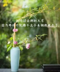 人生看似一辈子，其实不过三天：昨天、今天和明天。
    昨天是过去，今天是现在，明天是未来。再好的过去，都会成为历史，再差的现在，也需要去珍惜，再远的未来，也必须去努力。
    沉溺昨天的人，最糊涂，挥霍现在的人，最愚蠢，畏惧明天的人，最懦弱。只有用一颗平常心面对的人，才是最幸福的人。聪明的人，懂得如何经营自己的人生，能把昨天彻底放下，能把今天好好珍惜，能为明天奋斗努力，不会随波逐流，不会怨天尤人，更不会虚度光阴。
    人生，一边是拿起，一边是放下，生活，一边是忘记，一边是珍惜，想拥有幸福，就要学会知足，想一直快乐，就要学会简单，要想活好这辈子，就必须做到三件事：一、把不好全留在昨天，二、把希望都留给明天，三、把努力都用在今天。谁都有遗憾、都有不顺，最重要的其实不是结果，而是参与的过程。活好今天，忘记昨天，拥抱未来，不眷恋，不烦恼，不畏惧，才能遇见更多的美好。
    昨天，感激，今天，知足，明天，加油！忘记悲伤的过往，珍惜眼前的一切，和过去告别，从此以后活好当下，不辜负人生最年轻的此时此刻！配图