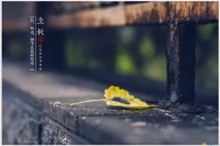 一年一年花開花落時，
春去秋來走走停停季，
喜樂與悲傷一起敲門，
見喜見悲，離與合在前頭
接受立秋時配圖