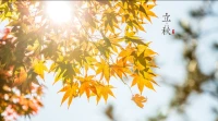 一年一年花開花落時，
春去秋來走走停停季，
喜樂與悲傷一起敲門，
見喜見悲，離與合在前頭
接受立秋時配圖