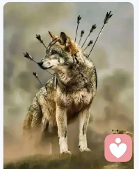 婚姻不可怕，
最壞的結(jié)果就是——離婚。
真正可怕的是結(jié)了——婚，
發(fā)現(xiàn)自己離不——起，
只能在這場想——逃、
卻無法逃脫的婚姻——里
耗盡一生。”配圖