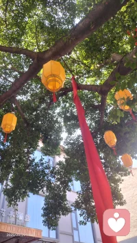 婚姻是愛情的結(jié)果，也是兩個人共同步入新的生活方式。幸福的婚姻大致相同，兩個人相濡以沫，相互尊重和理解，牽手到白頭。不幸的婚姻中，兩個人都身心俱疲，內(nèi)心傷痕累累，甚至因為遇人不淑，付出生命的代價。配圖