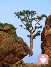 我們每個人都會步入老年，
都會面臨病痛和無助的時刻。
在這個時候，
我們往往會回歸自我，
開始審視自己的人生。
我們可能會發(fā)現(xiàn)，
然而，在這個世界上，
最親的并非我們的血脈至親，
而是其他什么呢？
每個人的答案都是不同的配圖