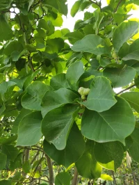 標題：《如果你不主動找我，我也不會主動找你》（下）文章：這是缺乏安全感的一種表現，需要對方主動來聯系自己，確認自己是被對方需要的。一般來說，會這么想的人多數是在這段關系中感受到了不安，即使有親密的需要，也生怕主動了會被輕視，另一方面又怕自己的不主動會錯失一切，然后陷入了不被察覺的“被動”狀態中。想起之前看到的一段話：“如果以后你不主動找我，我這輩子也不會再與你有交集。但只要你和我說話，我看見了，我一定秒回，或者你說你想要見我，就算是上刀山下火海，我也會以最快的速度出現在你的面前。但如果你不找我，我應該真的就不會出現在你的世界里了?！比伺c人之間的疏遠是從什么時候開始的呢？有時候你很喜歡一個人，卻擔心自己的付出沒有回報而不主動；有時候你很想念一個人，卻怕不知道說什么尷尬而不聯系；有時候你很想與別人分享一些事，卻考慮會不會被嫌煩而不打擾。其實，你這樣想的同時，對方可能也和你有一樣的想法。都在期待著對方的主動，以為對方在冷落自己而心生埋怨，逐漸疏遠。在我看來，感情中不應該存在誰先主動聯系誰。因為人與人之間的關系中，不存在你贏我輸的情況，感情不是靠賭氣、爭輸贏來維系，而是靠自己的心，靠對方的心。你的主動是表達自己，表達自己內心的態度。為了維持感情做出的努力，都值得被尊重，能夠明確地表達自己的需求，承認自己的需求就是一定意義上的“贏家”。配圖
