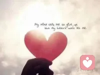 不知道自己想做什么？就先把手头的事儿做好。
不知道自己会遇到谁？就先学会善待身边的人。
生活的迷雾里，你或许只能看见眼前的五米，但一步一步走下去，雾就会慢慢散去…配图