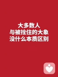 分享一個大象的故事：

在一個馬戲團(tuán)里面，有一頭被一根細(xì)細(xì)的繩子拴住的大象。大家都很納悶，依大象的力量來說，想要掙脫這這根細(xì)細(xì)的繩子是輕而易舉的事情，可為什么它那樣順從，沒有做任何掙扎呢？后來，馴獸員道出了這個秘密。

原來，在大象還很小的時候，他們就用一根很粗的鐵鏈子把它拴在水泥柱上。因?yàn)楫?dāng)時小象的力氣還比較小，任憑它怎么用力，也掙脫不了鐵鏈子的束縛，還把自己勒得傷痕累累。天長日久，小象慢慢長大，即便馴獸員后來給它換上了很細(xì)的繩子，它的力量也早就能輕松脫困，大象也早已經(jīng)失去了掙脫繩子的勇氣。

小時候的無力感，仍深深地印在它的腦海。
最糟糕的是，它從未真正質(zhì)疑過那段記憶。
此后，它再也沒有嘗試過掙脫木樁的束縛……

從這個故事中，你是否看到自己的影子呢？

“想要知道自己行不行，唯一的辦法就是再嘗試一次，傾盡全力地嘗試一次。傾盡全力！”配圖