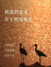 “如果某一天，有人突然從你生命里消失，不要去問為什么，接受就好。人生的道路上，人來人往，這一切都是我們無法掌控的。不要太過執著，也不必想太多，這一切都是上天注定的”。

人生求不得是常態，不圓滿才是生活，遇見是因為有債要還，離開是因為還清了，我們唯一能做的，珍惜所有的不期而遇，看淡所有的不辭而別。

來了，珍惜緣分；走了，釋懷心間。每一個出現在你生命里的人，一定會教會你一些什么?不是給你經歷，就是讓你成長。

無論任何關系，走到最后，不過是相識一場，有心者必有所累，無心者亦無所謂。情出自愿，不談虧欠，一念起，萬水千山皆有情；一念滅，滄海桑田已無心。配圖