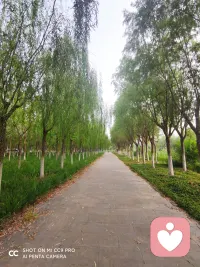 生活中的一切都是美好的，只有懂得了足夠多的緯度，嘗盡世間酸甜苦辣，你才能領(lǐng)悟。
無論經(jīng)歷過什么，都不要輕易放棄探索自我和前行，如果累了倦了受傷了，就歇一歇，休養(yǎng)生息，聚滿能量，等待時機重新出發(fā)。
相信我，你會發(fā)現(xiàn)最美好的自己。
致敬每一個想要去拯救自己和探索自我的人。配圖