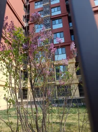 我們不能替孩子做一切事情，更不能陪伴孩子一生，
書教會TA解決事情的方法才是孩子行走一生的錦囊法寶
讓孩子成長的最快方式是放手，
給孩子練習的機會少一些干預，多一些等待并不斷給予肯定，
孩子才能收獲獨立與自信！配圖