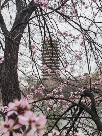 管教是一種愛(ài)的行動(dòng)。當(dāng)孩子越覺(jué)得被愛(ài)，要管教也就越容易。這表示我們?cè)诠芙讨埃仨毾仁购⒆拥膼?ài)箱滿溢，這樣他就必能接受父母的引導(dǎo)而沒(méi)有怨恨、敵意和障礙。配圖