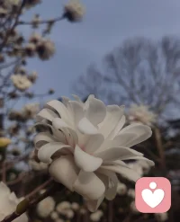 生命中最重要的資源，不是金錢，也不是時間，而是注意力。
因為注意力決定了能量流向，也決定了我們最終能把人生的哪些部分點亮。配圖