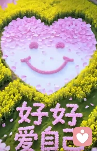 修炼:必须要由下而上，由简入繁，凡事一步一步走
相识是缘分，若想长相守必要长相知，得一步一步来
当下才是最重要的，活在当下:
眼前灰，眼前扫，昨日已逝，未来可期
看到自己的缺点，学会接纳自己，同自己和解配图