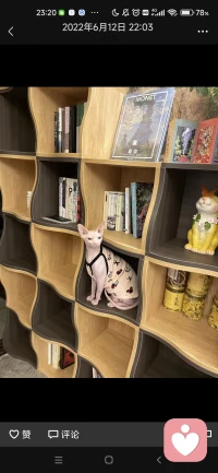 生活不如意事常八九，情緒有高低起伏，如何愉悅自己，需要智慧，生活出現(xiàn)不如意，歡迎找我聊聊，一直在線哦配圖