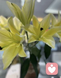 或許這需要一個(gè)前提，我們相信“記憶”和“想象”起到類似的作用……實(shí)際上的確是同樣重要，但是往往我們會(huì)人為的給自己“設(shè)限”……配圖