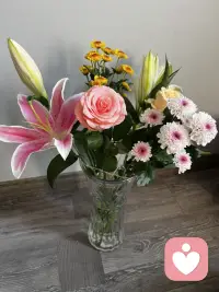 很長(zhǎng)時(shí)間沒(méi)有上線，多了一個(gè)動(dòng)態(tài)功能。心理咨詢(xún)師很多，小眾咨詢(xún)不多，字母人不愿說(shuō)，還是圈外人難理解。配圖