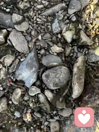 沒事多出去走走，把暫時不能解決的先放一邊……配圖